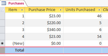 totals row on datasheet