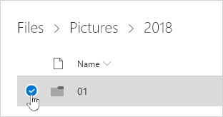 Screenshot that shows the selected file.