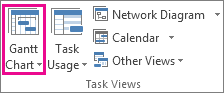 Gantt Chart button on the View tab