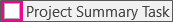 Project Summary Task check box