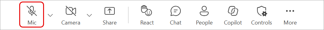 manage audio during a meeting