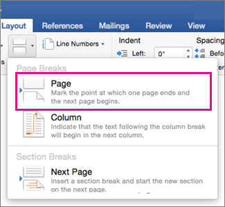 Layout Break menu with Page Break highlighted